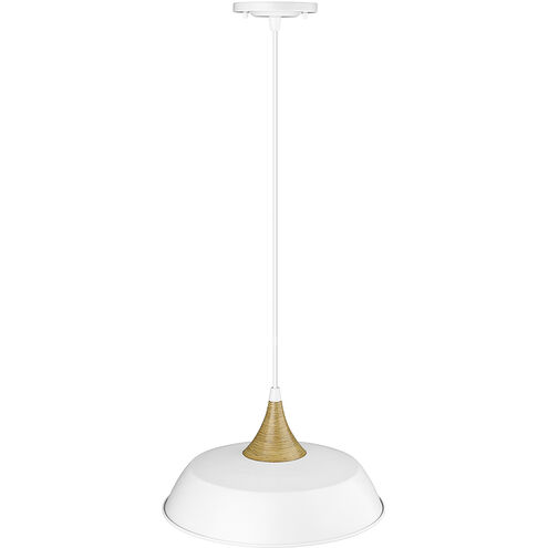 Arlo 1 Light 14.1 inch Matte White Indoor Pendant Ceiling Light